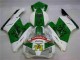CBR 1000 RR 04-05 Verkleidungen - Grün Weiß CBR 1000 RR 04-05 Verkleidungen - Grün Weiß