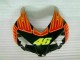 CBR 1000 RR 04-05 Verkleidungen - Orange Grün CBR 1000 RR 04-05 Verkleidungen - Orange Grün