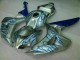 CBR 1000 RR 06-07 Verkleidungen - Blau Flamme Silber CBR 1000 RR 06-07 Verkleidungen - Blau Flamme Silber