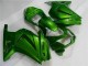 EX250 08-12 Verkleidung - Grün Ninja EX250 08-12 Verkleidung - Grün Ninja