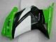 EX250 08-12 Vollverkleidung - Grün Schwarzer Ninja EX250 08-12 Vollverkleidung - Grün Schwarzer Ninja