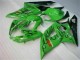 GSXR 1000 K5 05-06 Verkleidungen - Grün GSXR 1000 K5 05-06 Verkleidungen - Grün
