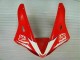 R1 02-03 Vollverkleidung - Rot