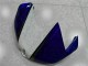 R6 06-07 Verkleidung - Weiß Blau R6 06-07 Verkleidung - Weiß Blau