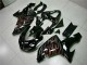 ZX10R 06-07 Verkleidung - Schwarz rote Flamme
