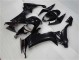 ZX10R 08-10 Verkleidung - Glänzend Schwarz ZX10R 08-10 Verkleidung - Glänzend Schwarz