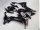 ZX10R 08-10 Verkleidung - Glänzend Schwarz ZX10R 08-10 Verkleidung - Glänzend Schwarz