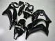 ZX10R 11-15 Verkleidungen - Matt Schwarz ZX10R 11-15 Verkleidungen - Matt Schwarz