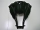 ZX10R 11-15 Verkleidungen - Matt Schwarz ZX10R 11-15 Verkleidungen - Matt Schwarz