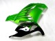 ZX14R ZZR 1400 12-21 Verkleidungen - Grün Schwarz ZX14R ZZR 1400 12-21 Verkleidungen - Grün Schwarz