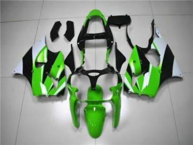 ZX6R 00-02 Verkleidungen - Grün Weiß Schwarz