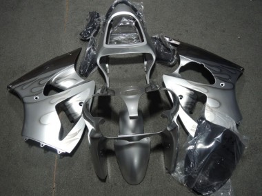 ZX6R 00-02 Verkleidungen - Silber Flamme