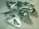ZX6R 00-02 Verkleidungen - Silber ZX6R 00-02 Verkleidungen - Silber