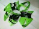 ZX6R 00-02 Vollverkleidung - Grün Schwarz ZX6R 00-02 Vollverkleidung - Grün Schwarz