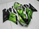ZX6R 05-06 Verkleidung - Grün ZX6R 05-06 Verkleidung - Grün