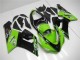 ZX6R 05-06 Verkleidungen - Grün