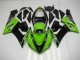 ZX6R 05-06 Verkleidungen - Grün