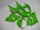 ZX6R 05-06 Vollverkleidung - Grün ZX6R 05-06 Vollverkleidung - Grün