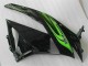 ZX6R 09-12 Verkleidung - Grün Schwarz ZX6R 09-12 Verkleidung - Grün Schwarz