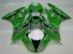 ZX6R 09-12 Verkleidungen - Grün Schwarzer LeoVince ZX6R 09-12 Verkleidungen - Grün Schwarzer LeoVince