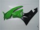 ZX6R 09-12 Vollverkleidung - Grün Schwarz ZX6R 09-12 Vollverkleidung - Grün Schwarz